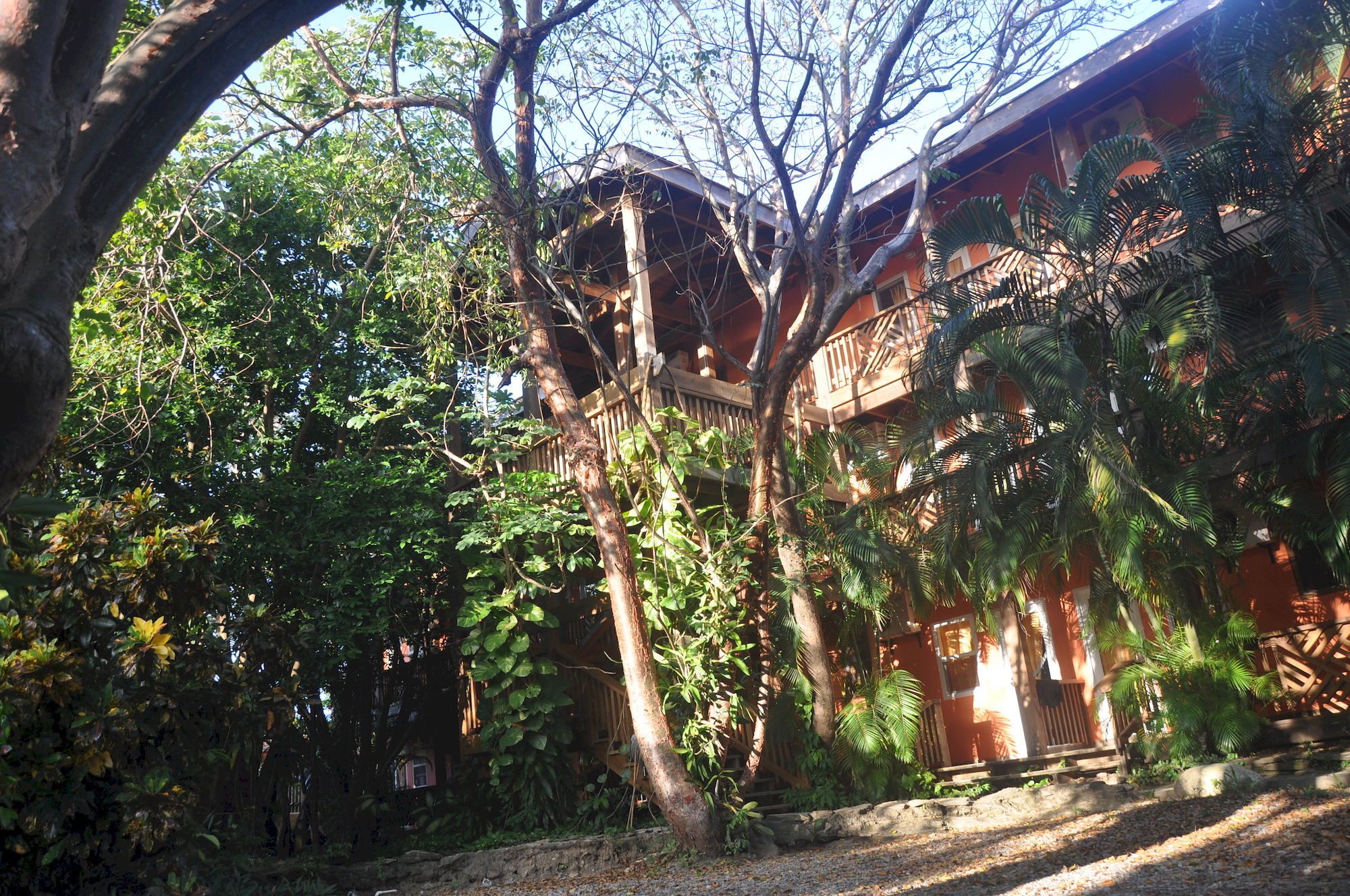 Hotel Posada Las Orquideas,West End Luaran gambar