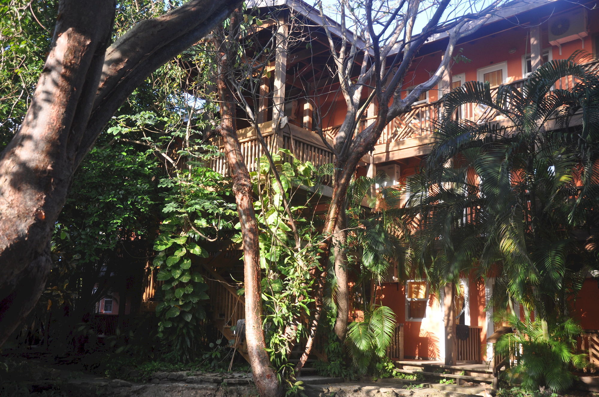Hotel Posada Las Orquideas,West End Luaran gambar